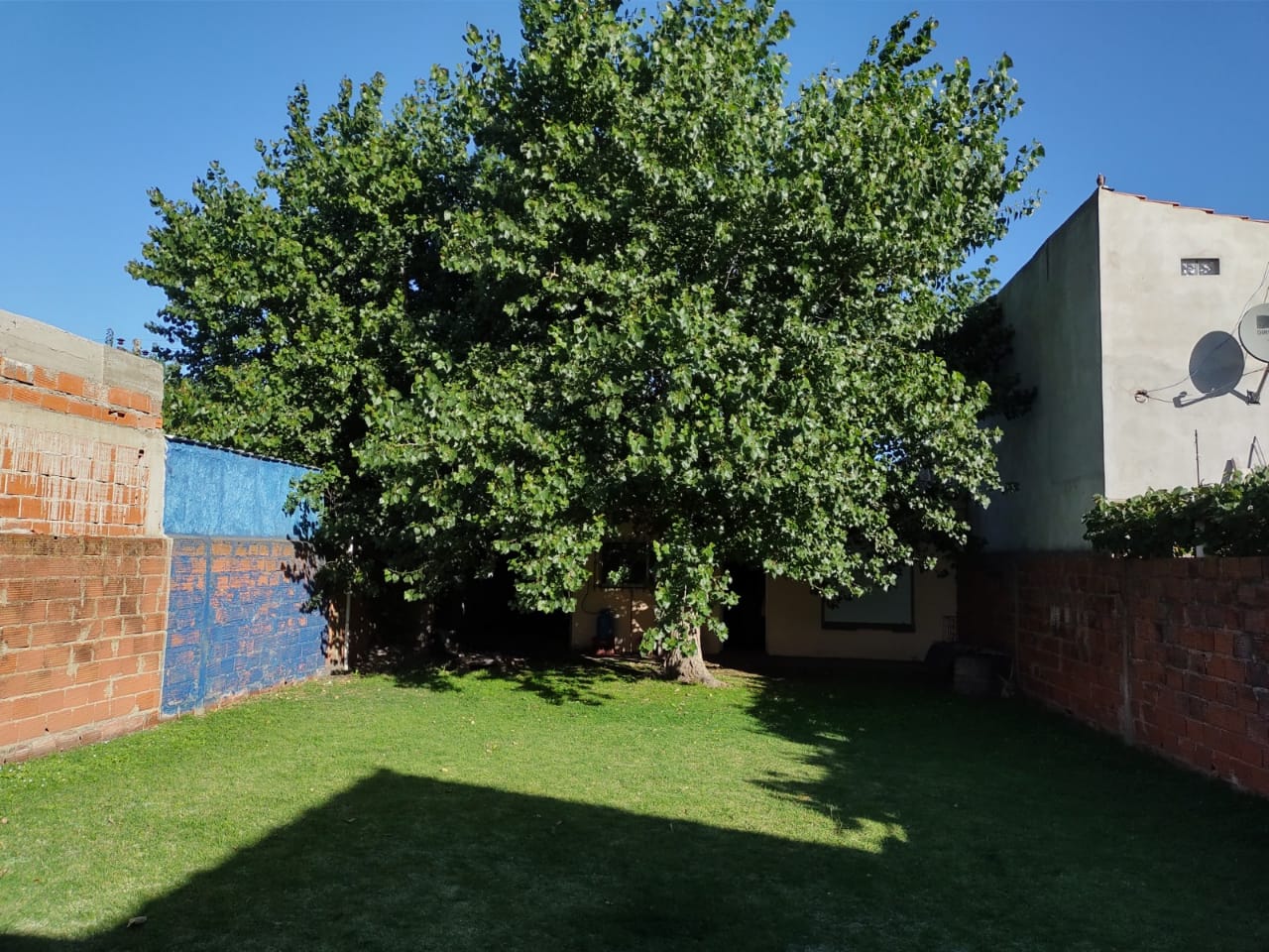 f2cfe04d-34fd-4b95-b4ea-4ab8593fb1b6