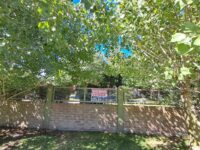 Imagen de WhatsApp 2025-01-25 a las 10.34.41_fc363e9d