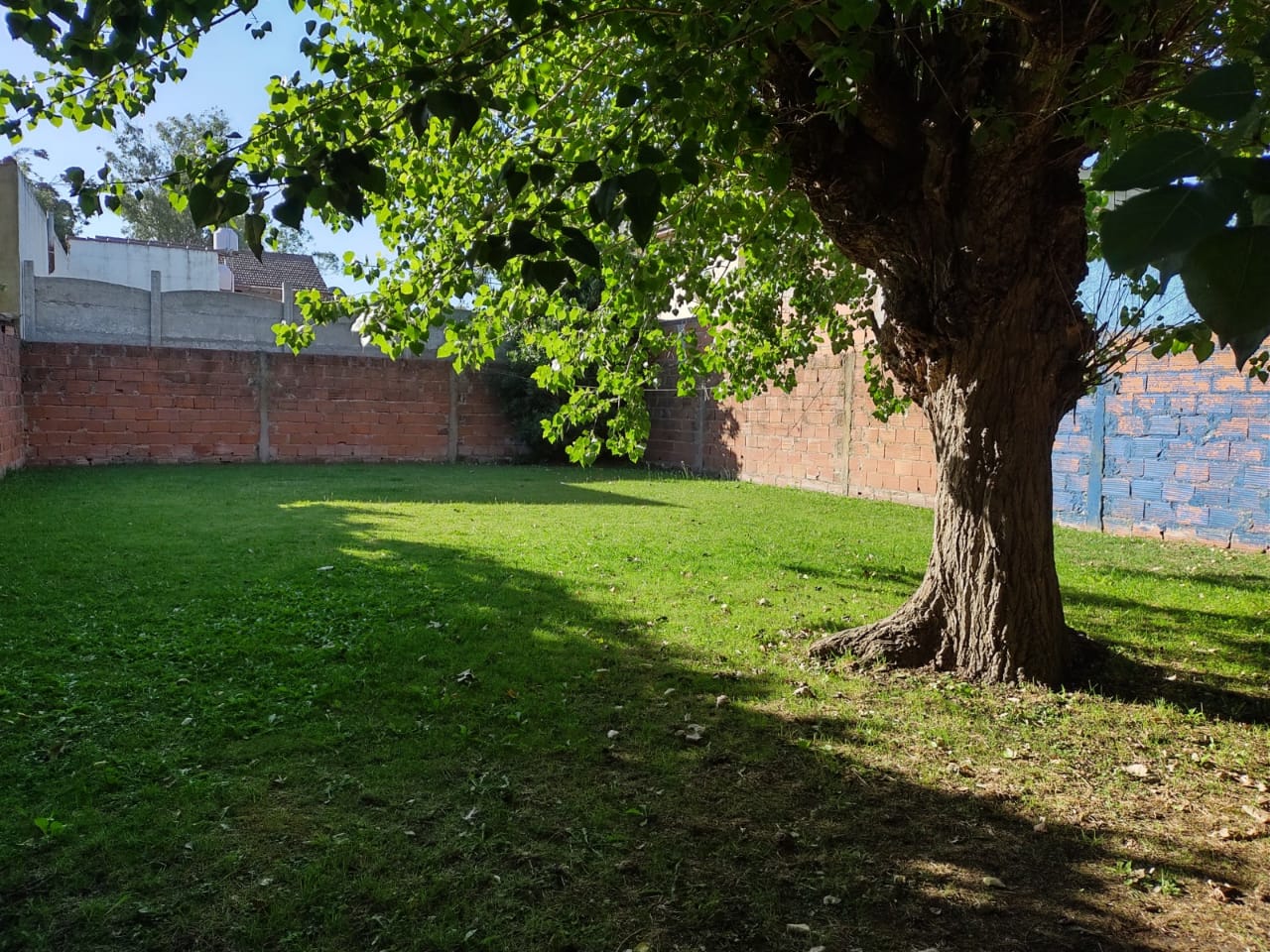 247db8ce-0bdb-4c7b-9c6e-06b267019e5f