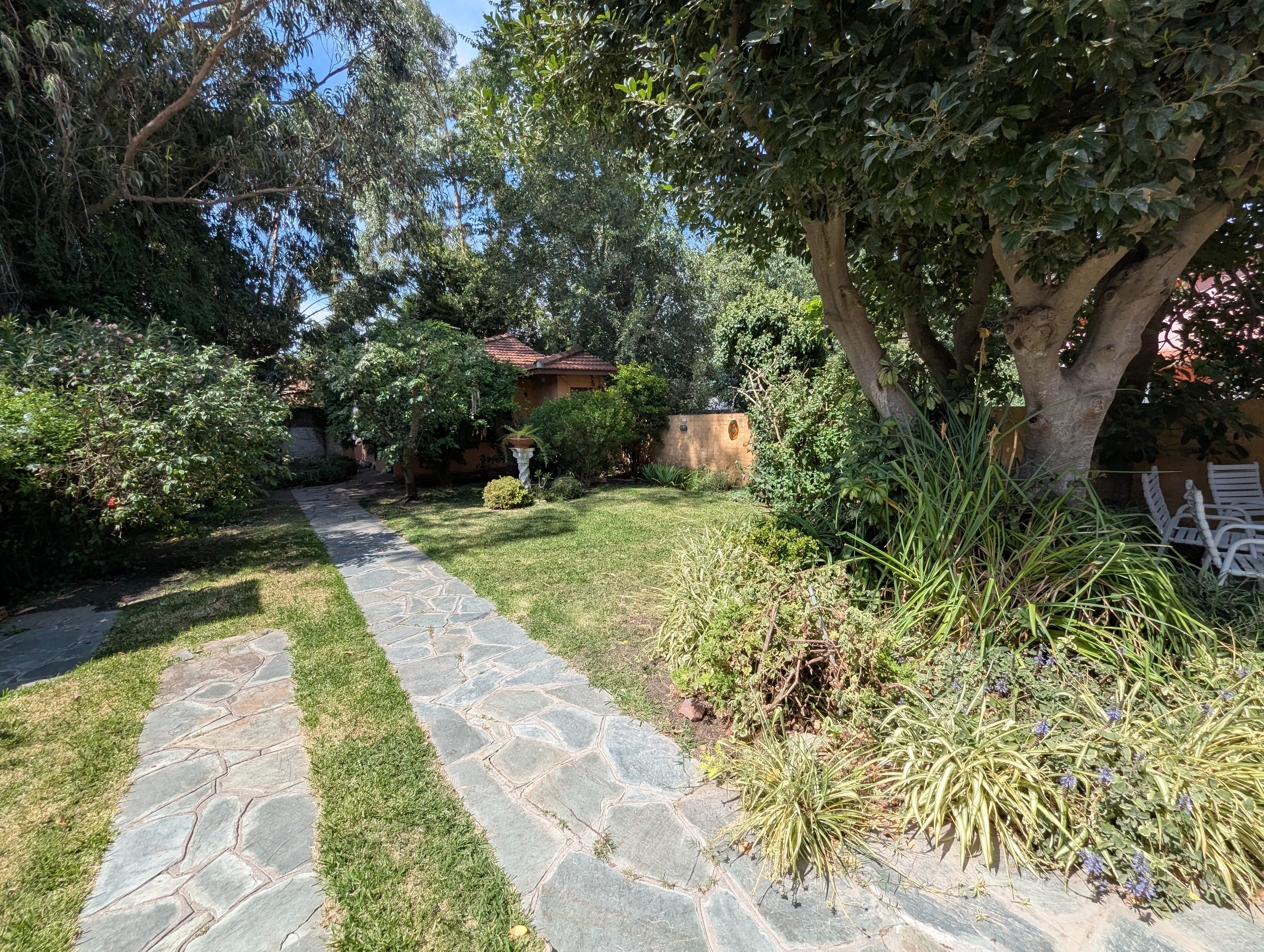 Imagen de WhatsApp 2025-02-10 a las 11.58.37_fdbfcca1