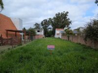 Imagen de WhatsApp 2025-04-14 a las 16.13.44_9a6e4916