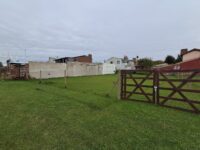 Imagen de WhatsApp 2025-05-08 a las 10.50.15_0cb55020