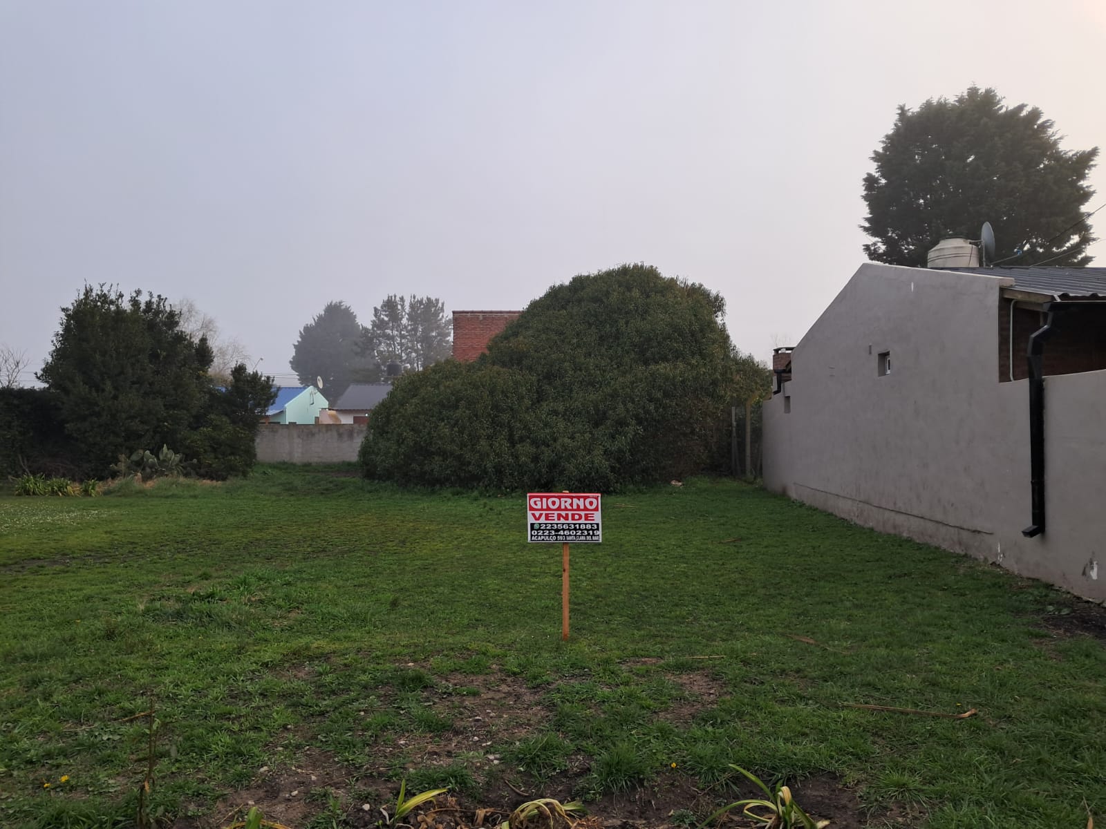 Imagen de WhatsApp 2025-08-29 a las 17.45.39_166693df