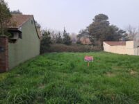 Imagen de WhatsApp 2025-08-29 a las 17.36.21_46006135