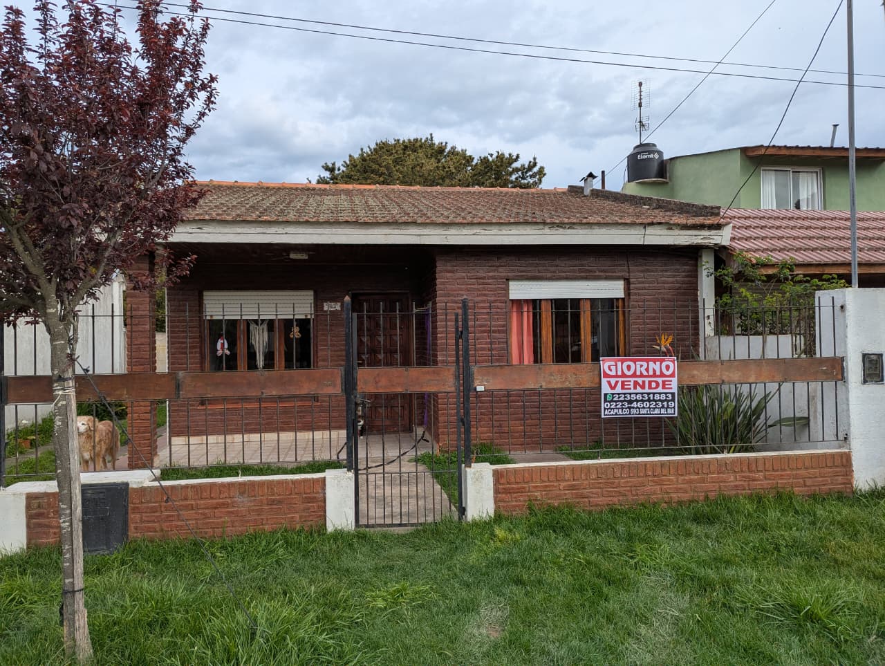 Imagen de WhatsApp 2025-09-30 a las 09.07.01_021a1b58