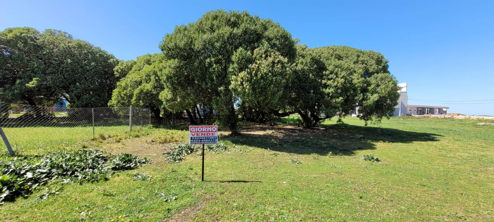 Imagen de WhatsApp 2024-10-03 a las 11.15.18_220d3fe4