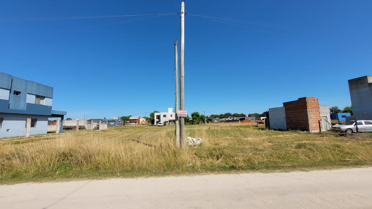 Imagen de WhatsApp 2024-01-03 a las 11.21.03_57e14fcc