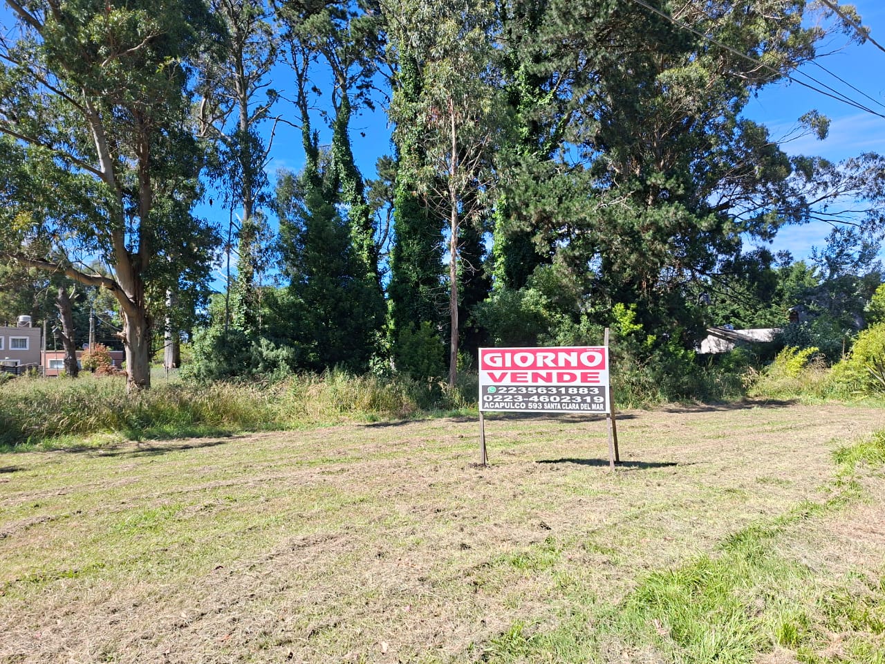 WhatsApp Image 2025-11-22 at 09.47.37