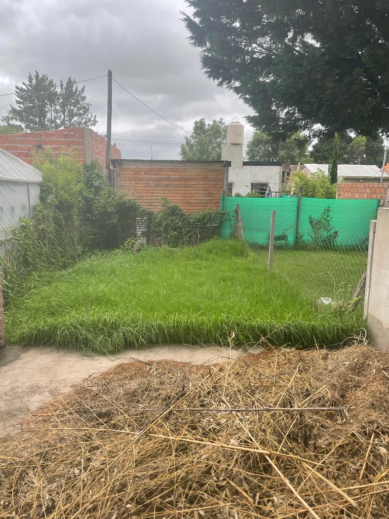 fcf09ff3-ae89-4757-80d8-5e98e50394d5