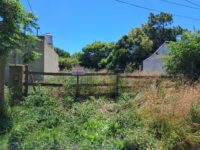 Imagen de WhatsApp 2025-12-03 a las 11.13.42_ec053c9b