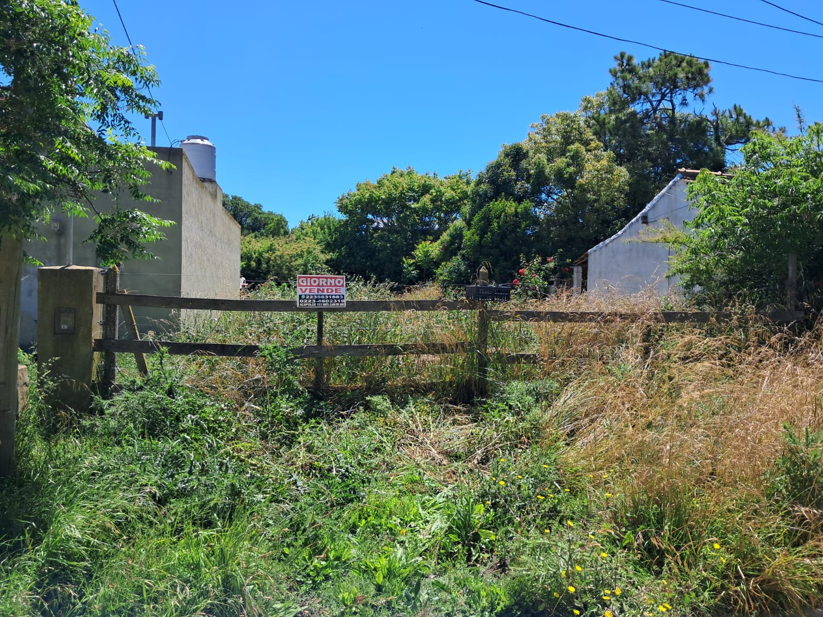 Imagen de WhatsApp 2025-12-03 a las 11.13.42_ec053c9b