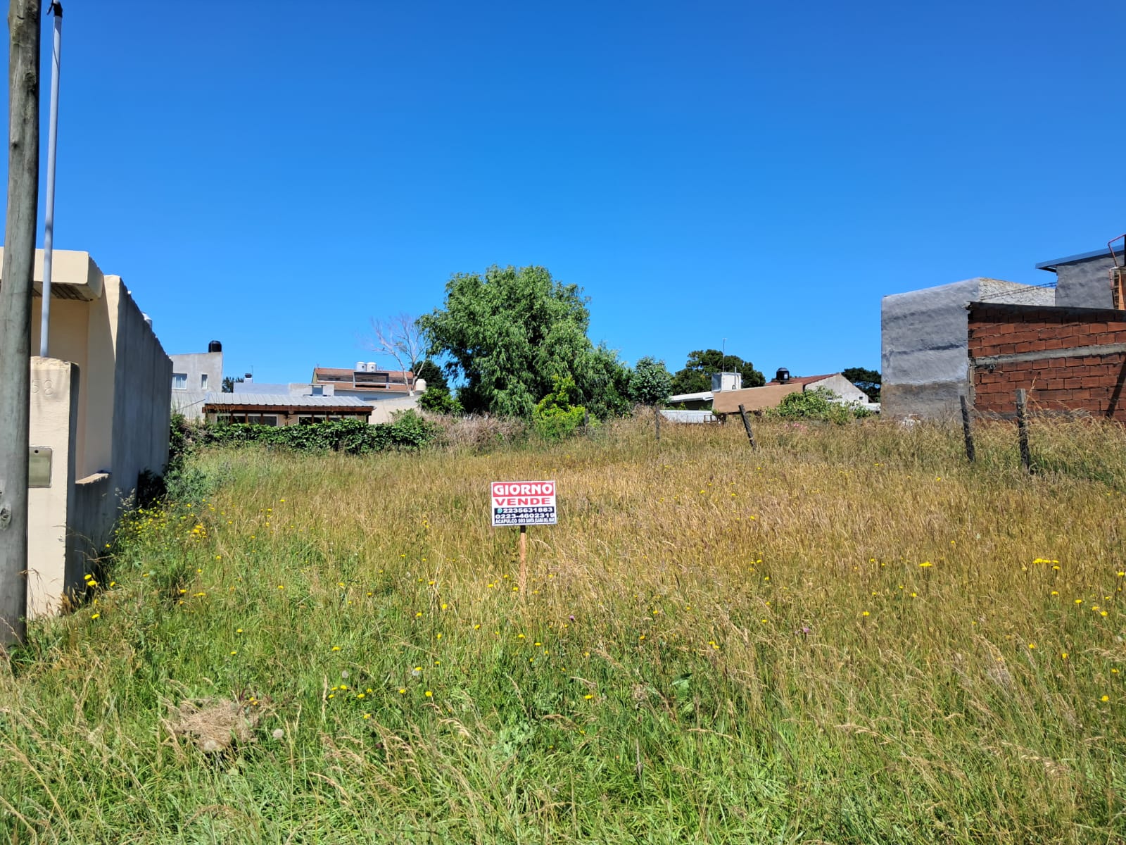 WhatsApp Image 2025-12-03 at 11.22.12