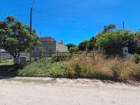 Imagen de WhatsApp 2025-12-03 a las 11.13.43_0173ed99