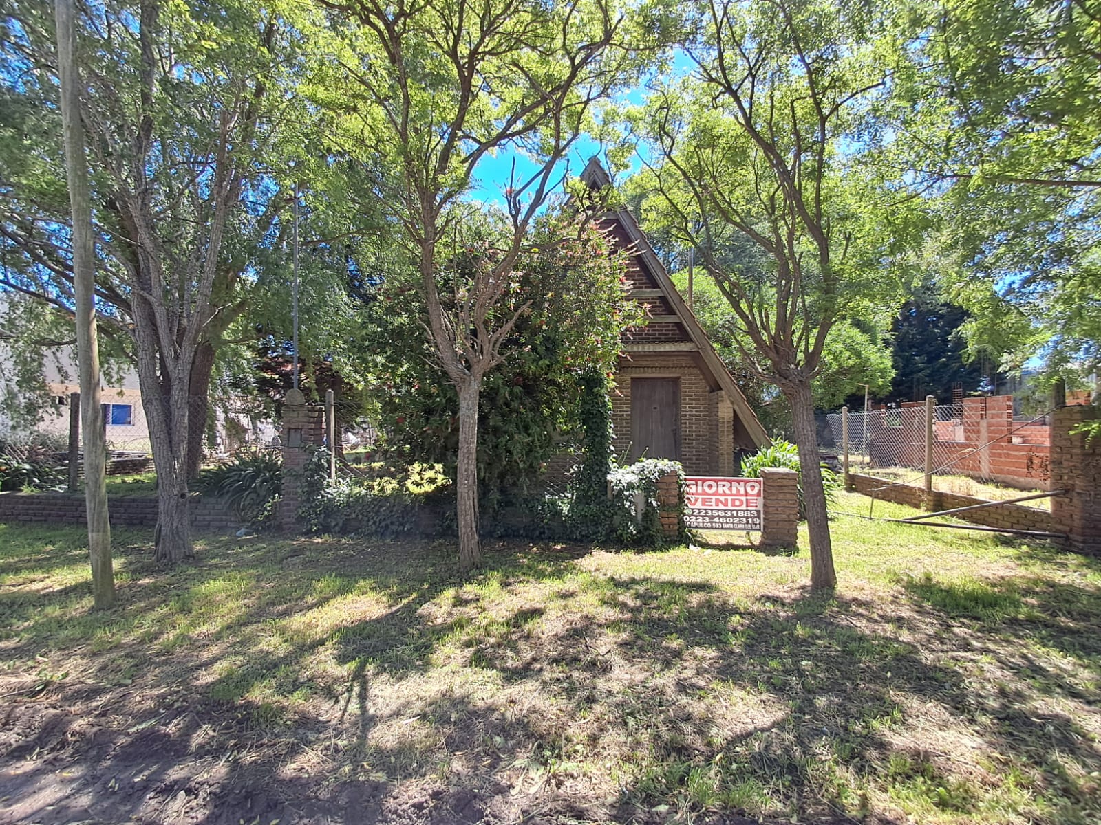 WhatsApp Image 2025-12-03 at 11.00.11