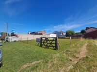 WhatsApp Image 2025-12-17 at 11.15.39