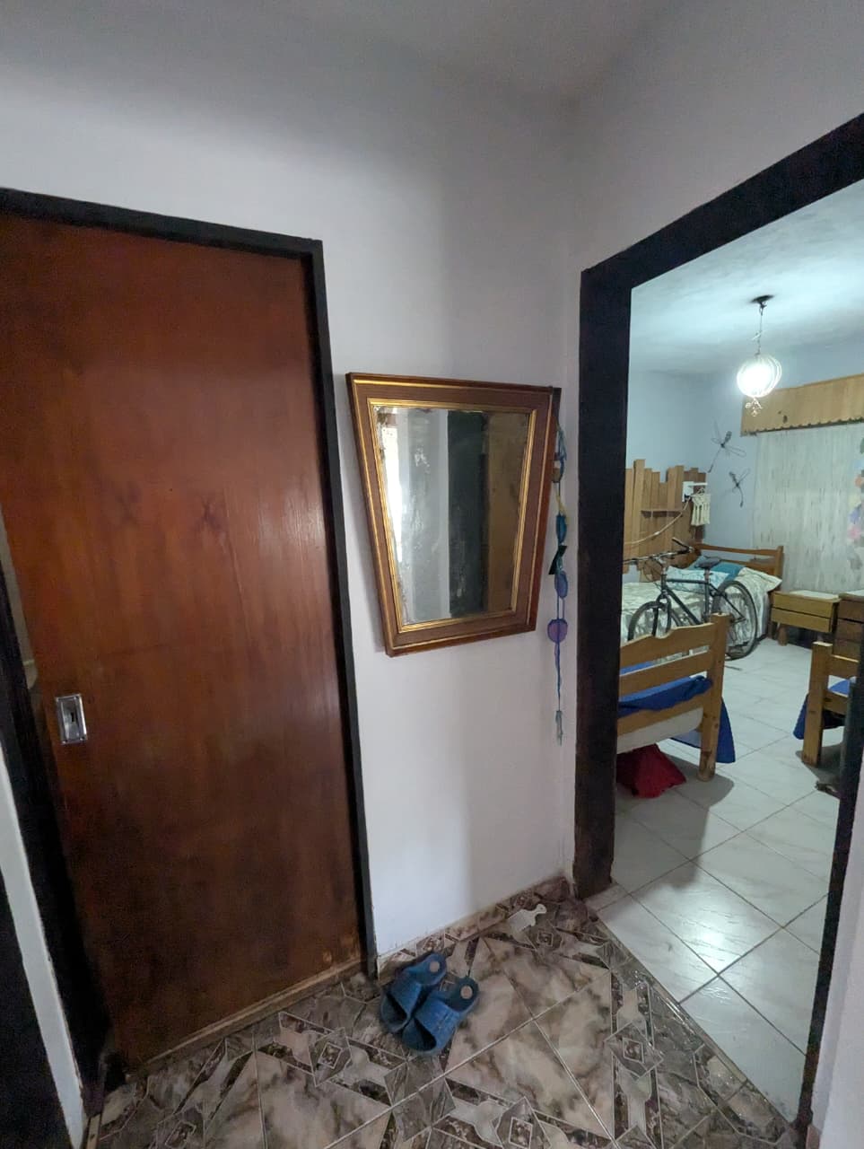 WhatsApp Image 2026-01-27 at 11.56.06