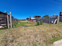 WhatsApp Image 2026-01-20 at 12.30.19