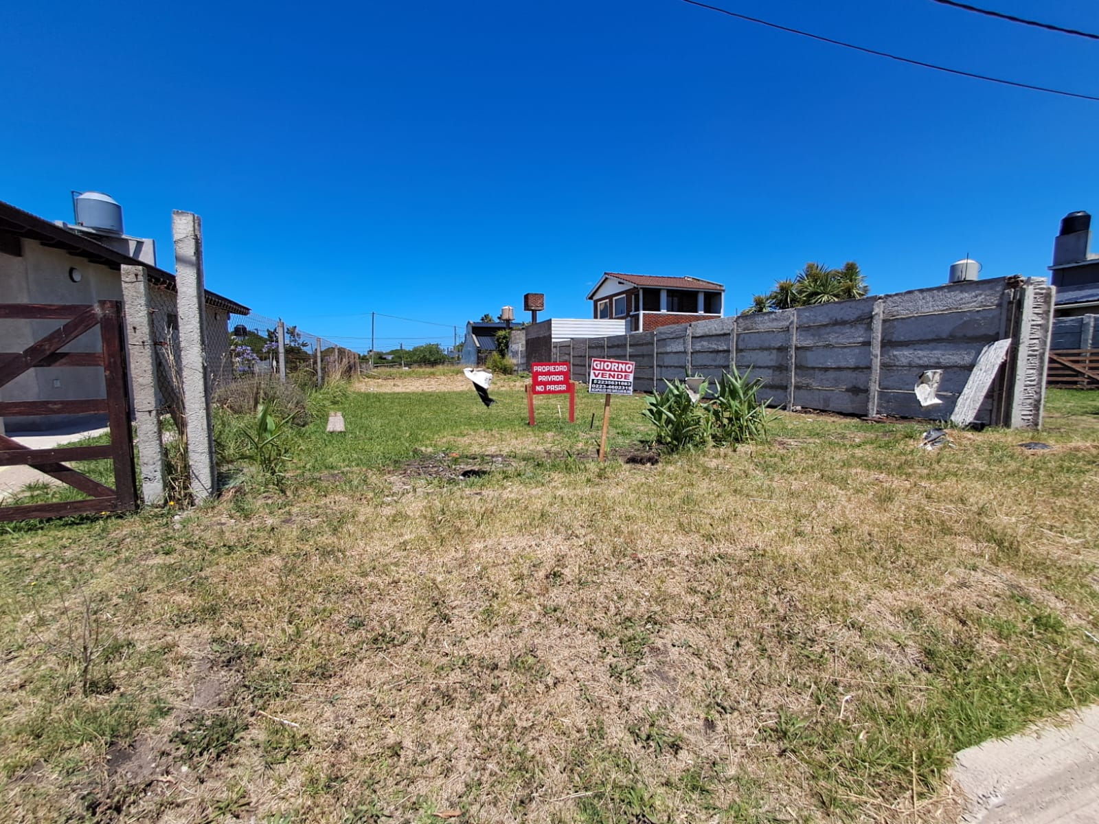 WhatsApp Image 2026-01-20 at 12.30.19