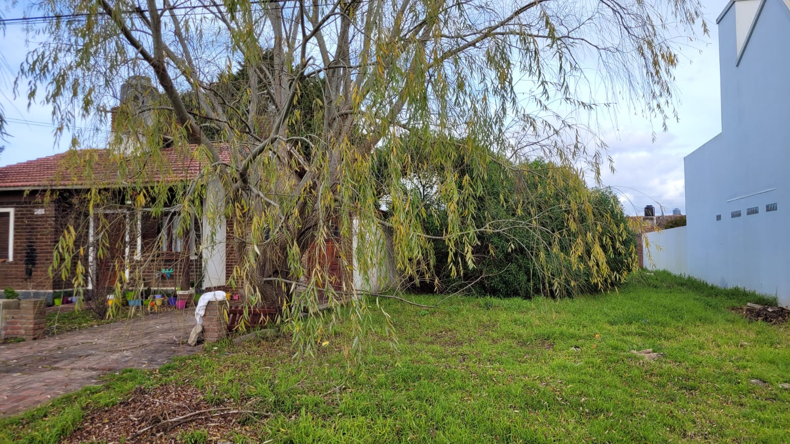 Imagen de WhatsApp 2023-07-29 a las 09.39.09