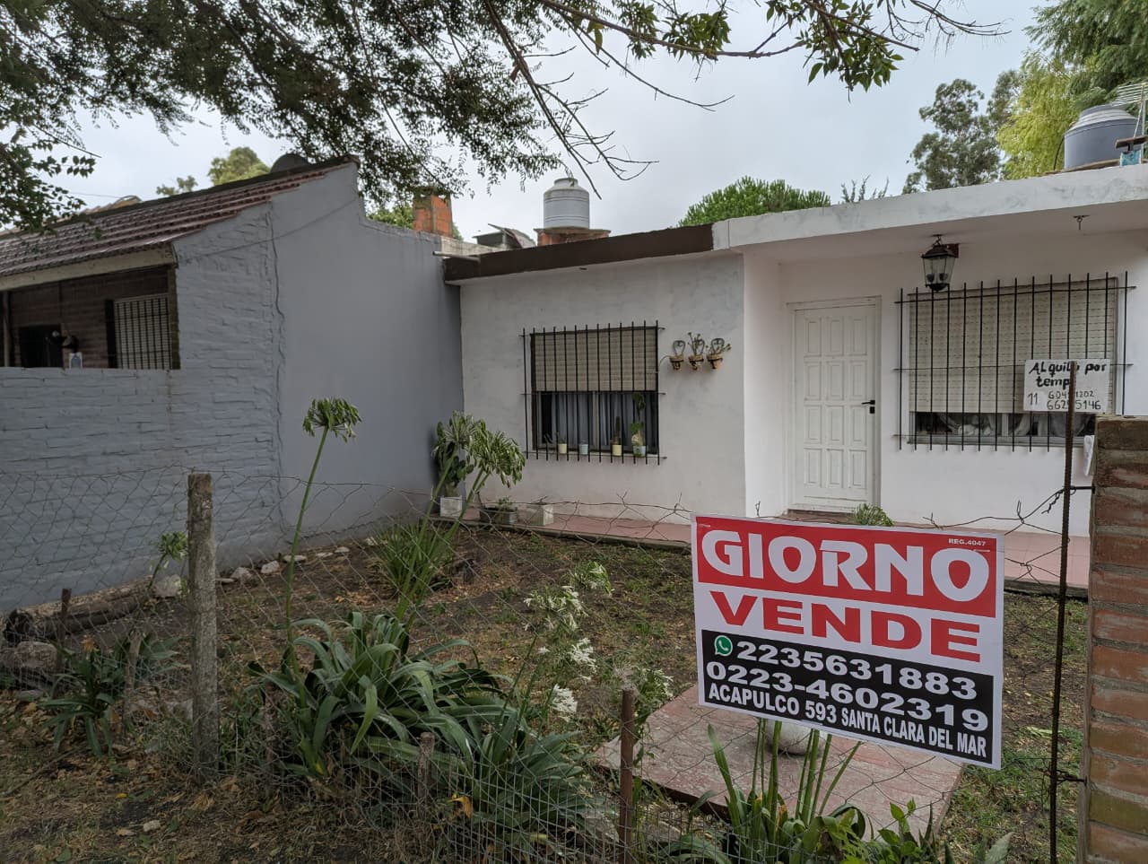 WhatsApp Image 2026-01-27 at 11.56.31