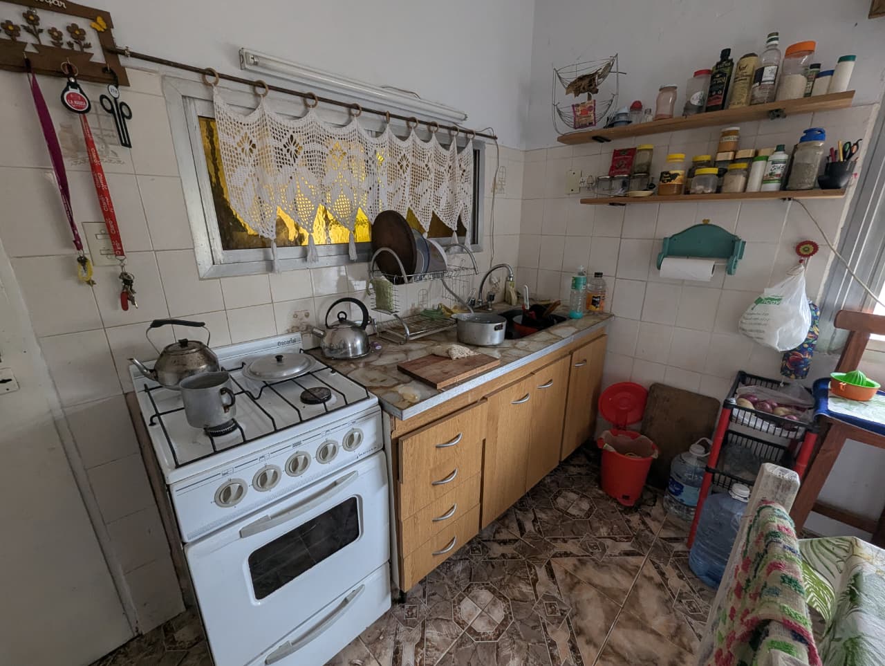 WhatsApp Image 2026-01-27 at 11.49.31