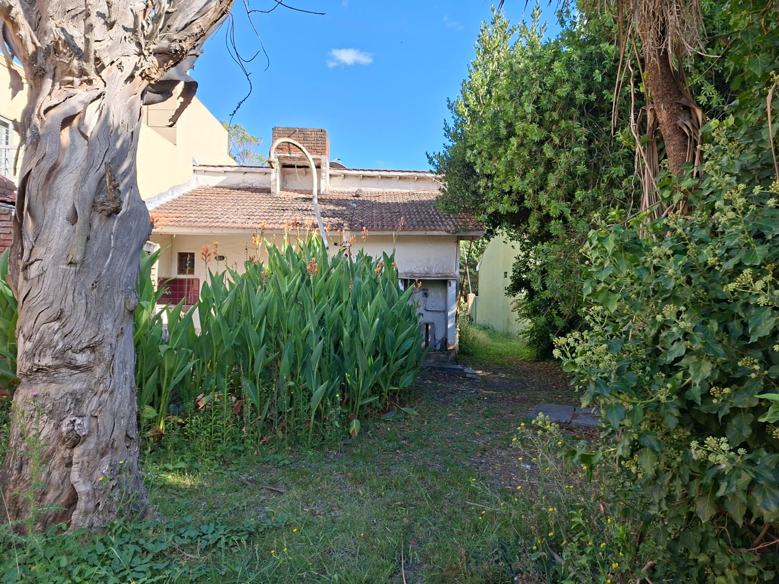 WhatsApp Image 2026-02-14 at 10.33.00