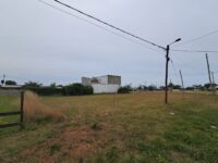 WhatsApp Image 2026-02-04 at 11.55.43 (1)