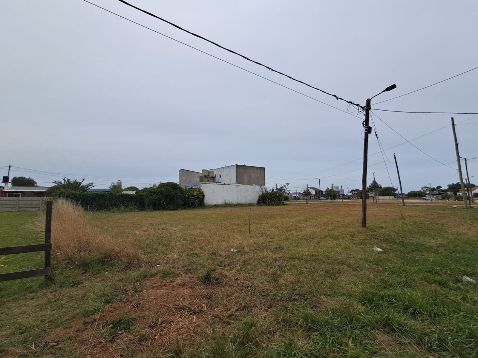 WhatsApp Image 2026-02-04 at 11.55.43 (1)