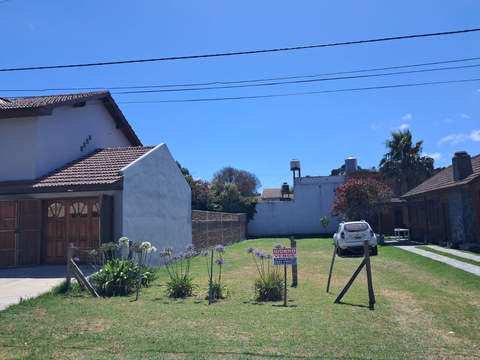 WhatsApp Image 2026-01-31 at 12.02.19 (1)