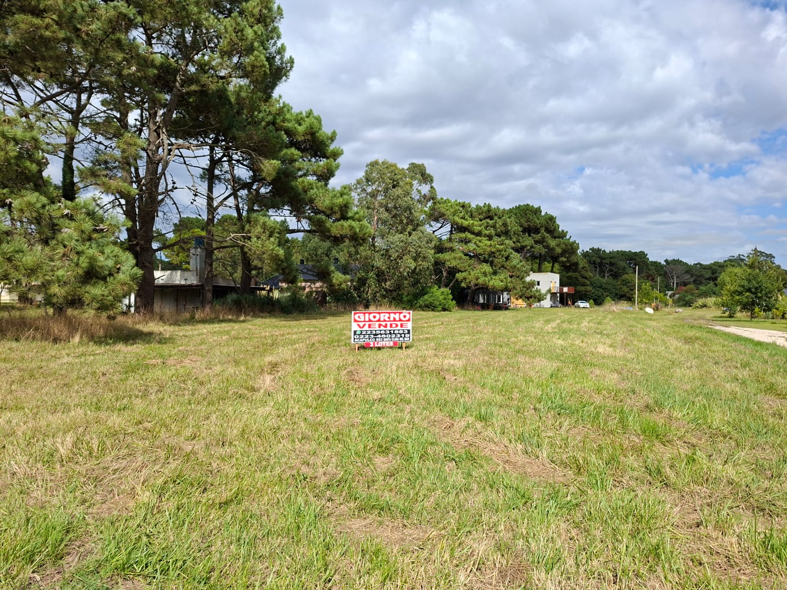 WhatsApp Image 2026-02-19 at 10.25.01