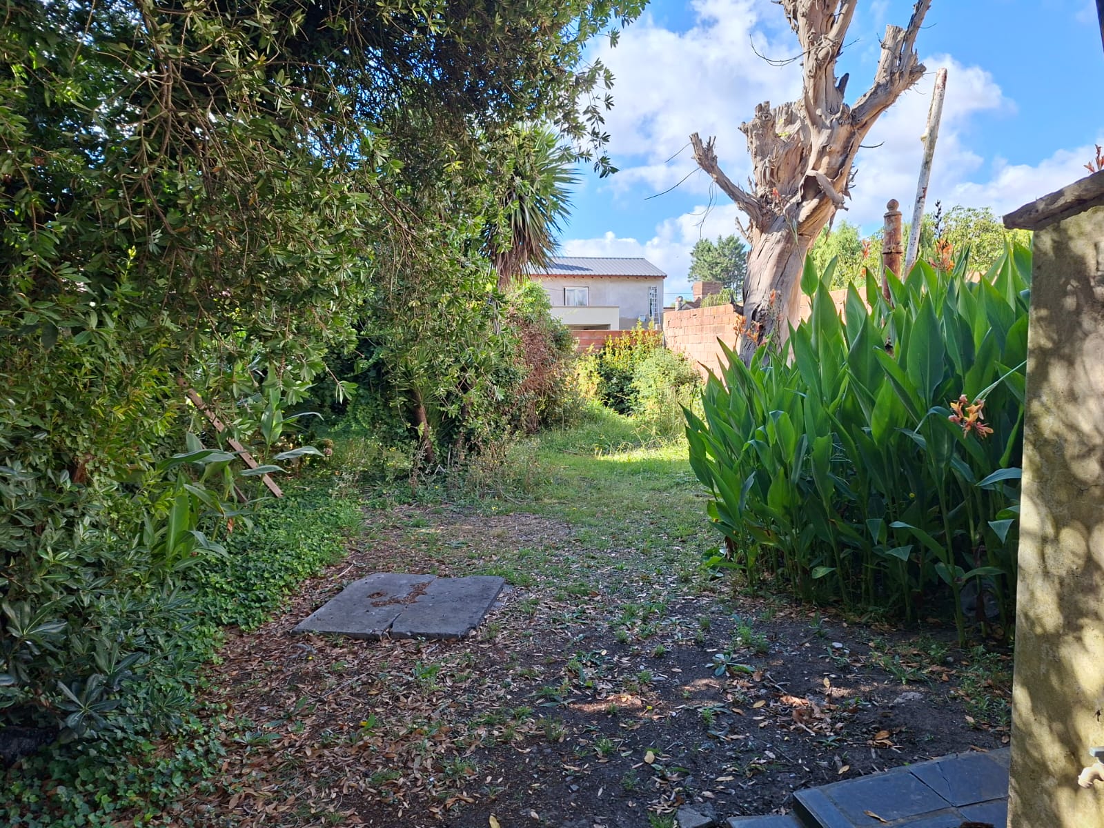 WhatsApp Image 2026-02-14 at 10.32.59