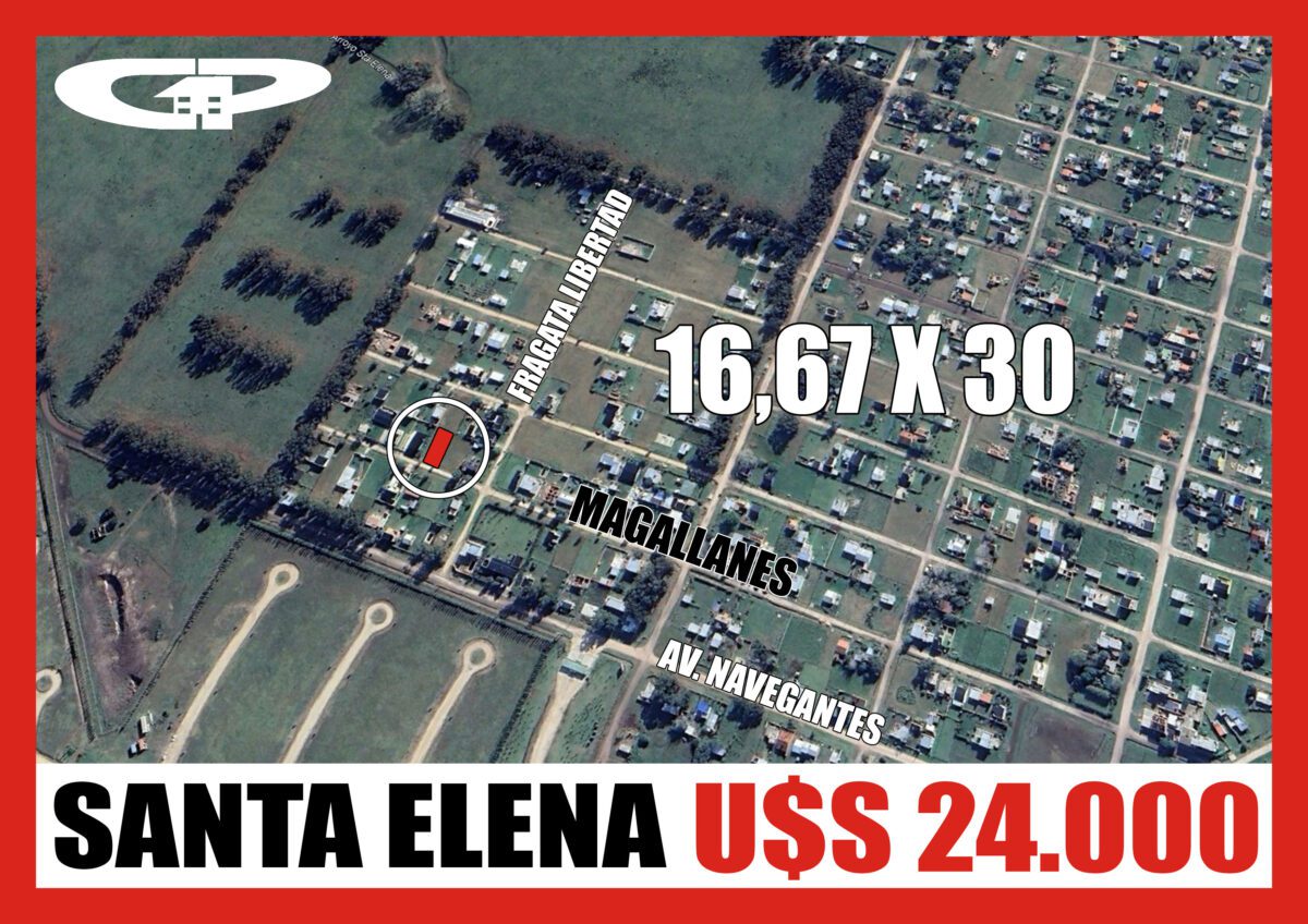 Magallanes 118 11 modelo número 2