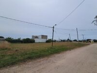 WhatsApp Image 2026-02-04 at 11.55.43