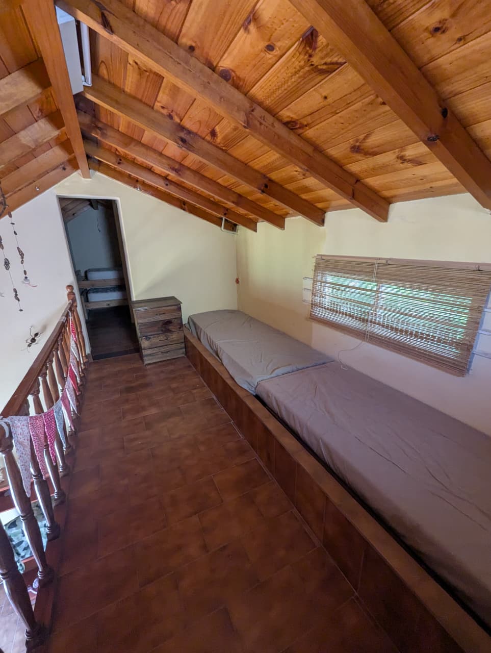 WhatsApp Image 2026-03-10 at 09.09.23