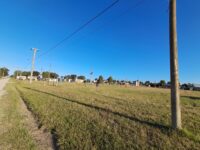 WhatsApp Image 2026-03-25 at 17.26.24