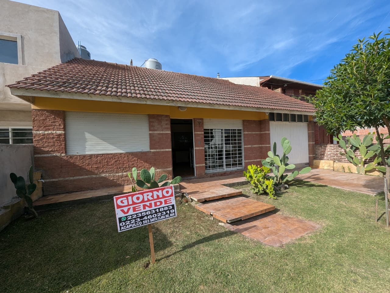 WhatsApp Image 2026-03-10 at 09.09.13