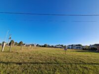 WhatsApp Image 2026-03-25 at 17.26.25 (1)