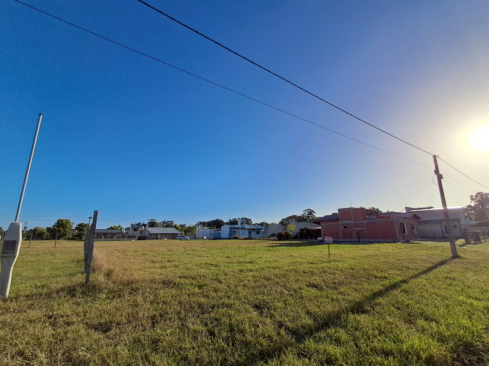 WhatsApp Image 2026-03-25 at 17.26.25