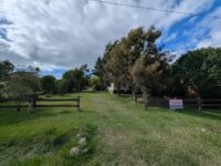 WhatsApp Image 2026-03-20 at 10.24.26