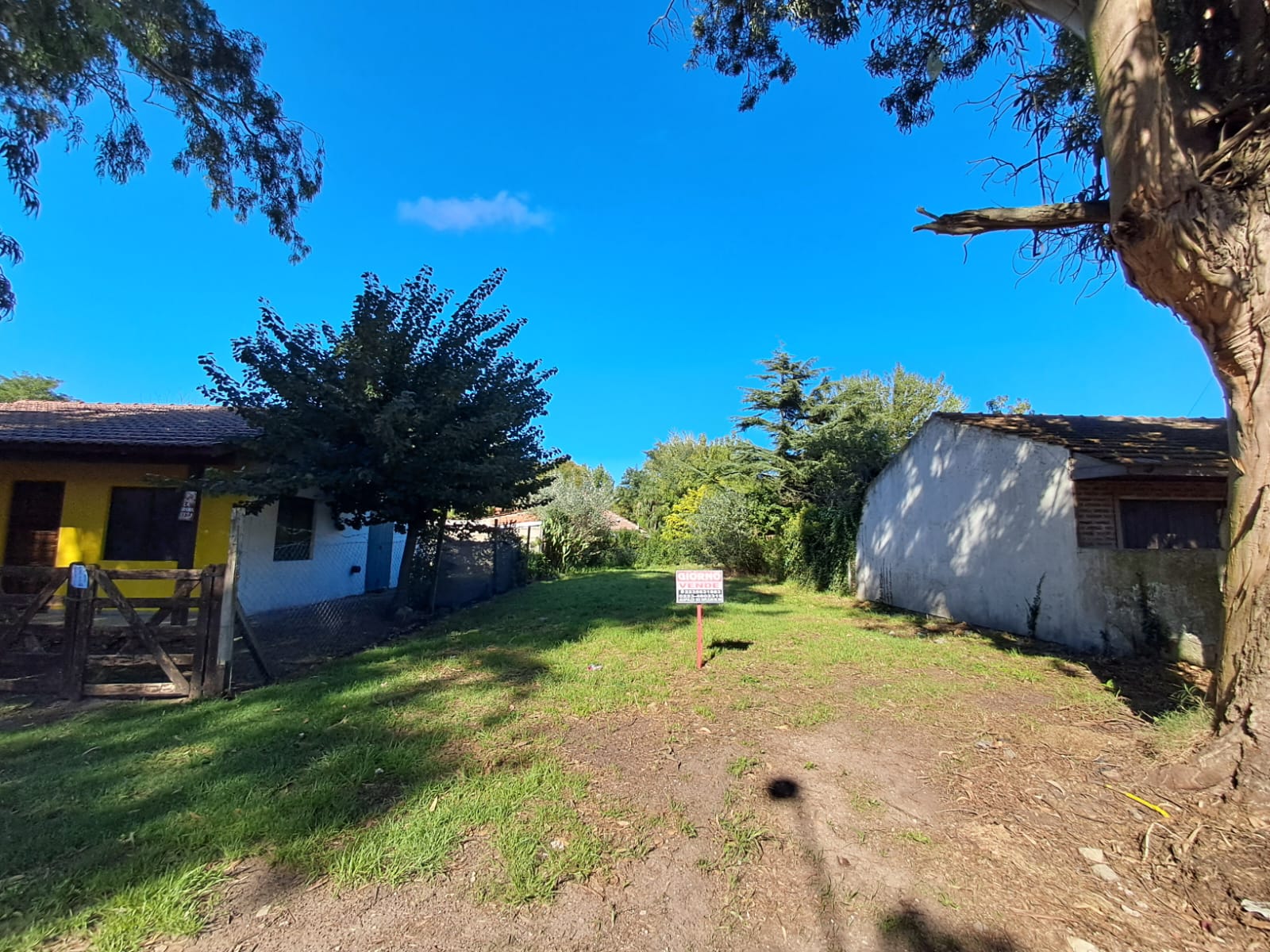 WhatsApp Image 2026-03-26 at 09.57.58