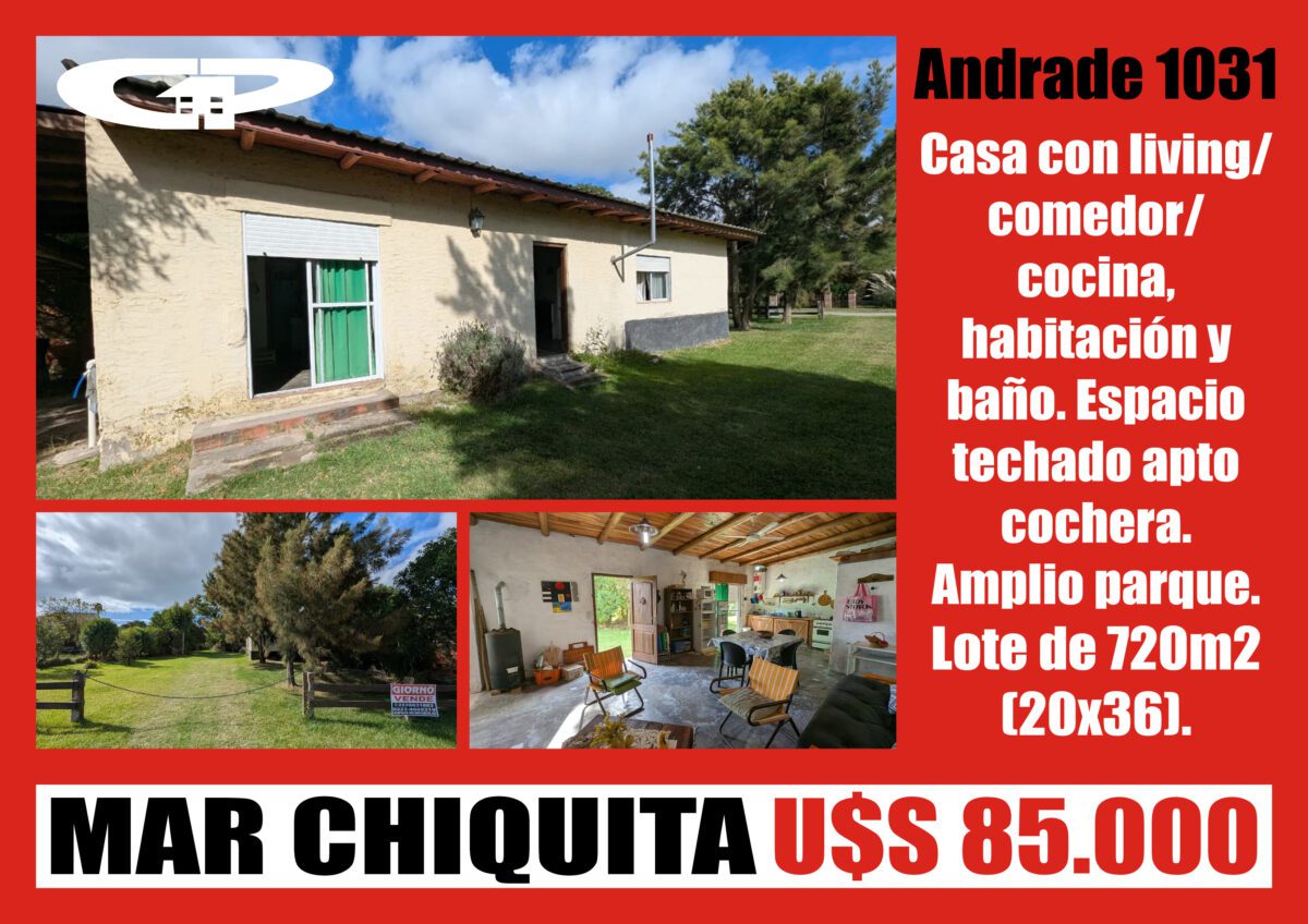 Andrade 1031 M39 P17