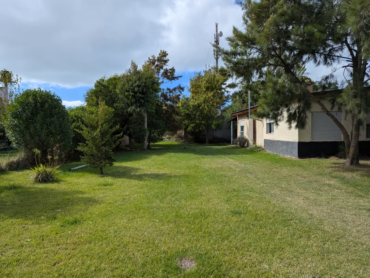 WhatsApp Image 2026-03-20 at 10.34.29