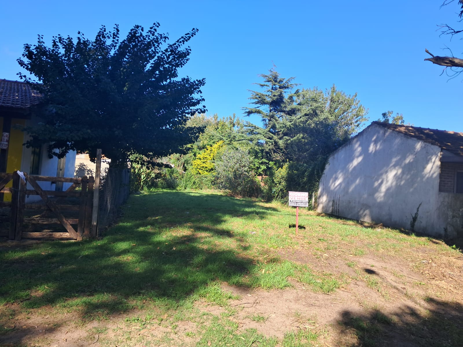 WhatsApp Image 2026-03-26 at 09.57.57