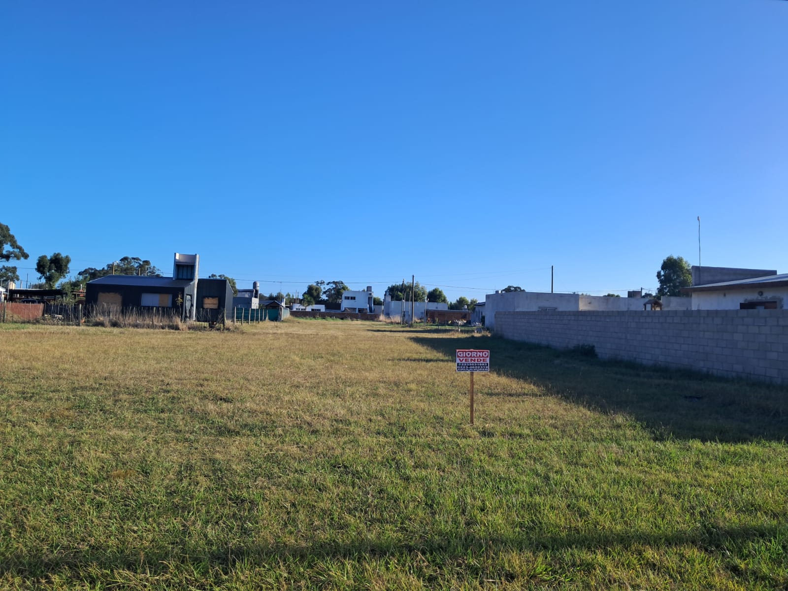 WhatsApp Image 2026-03-25 at 17.19.06