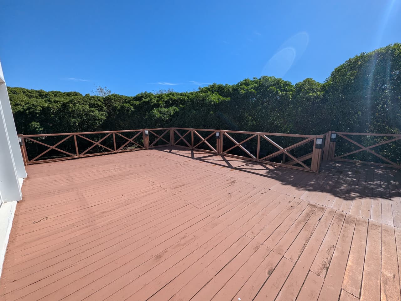 WhatsApp Image 2026-04-10 at 11.51.26