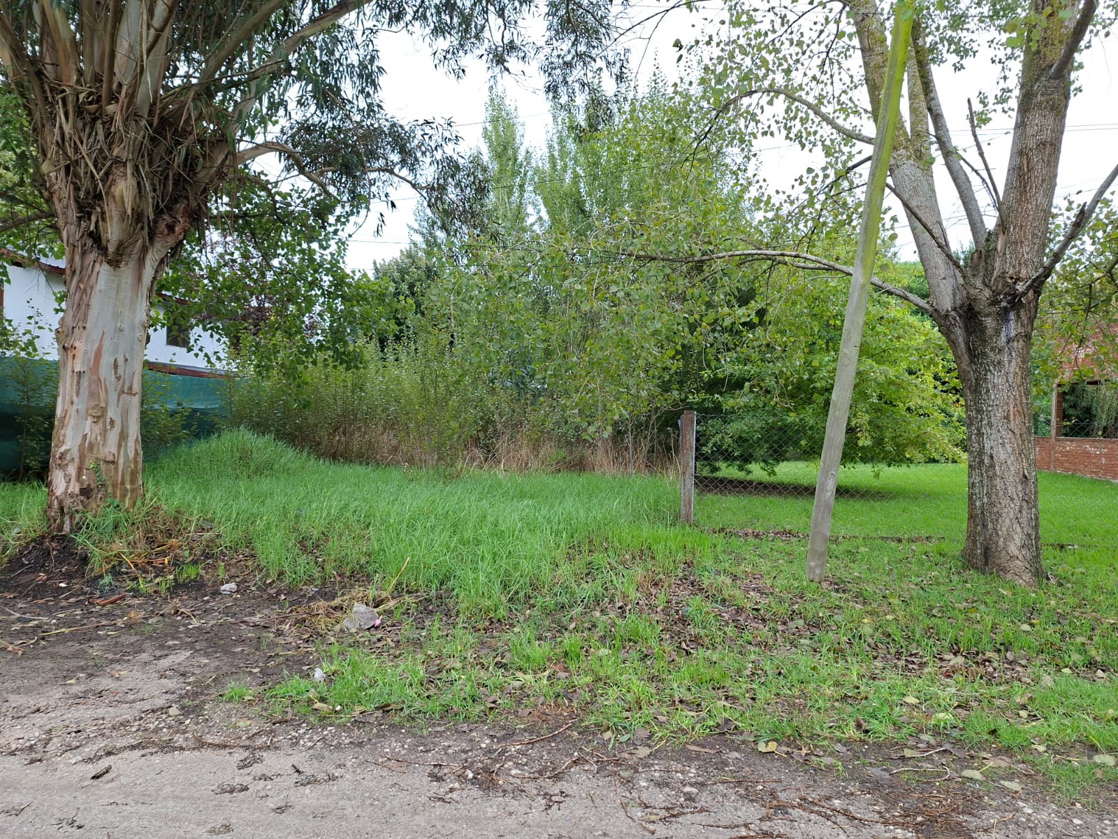 WhatsApp Image 2026-04-08 at 10.19.17 (1)