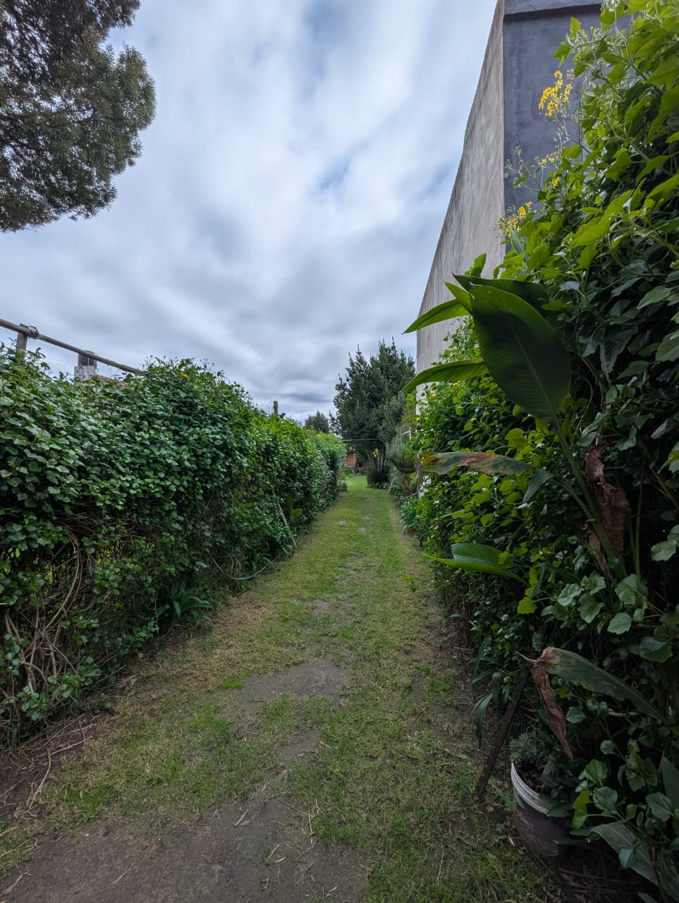 WhatsApp Image 2026-04-25 at 10.56.03