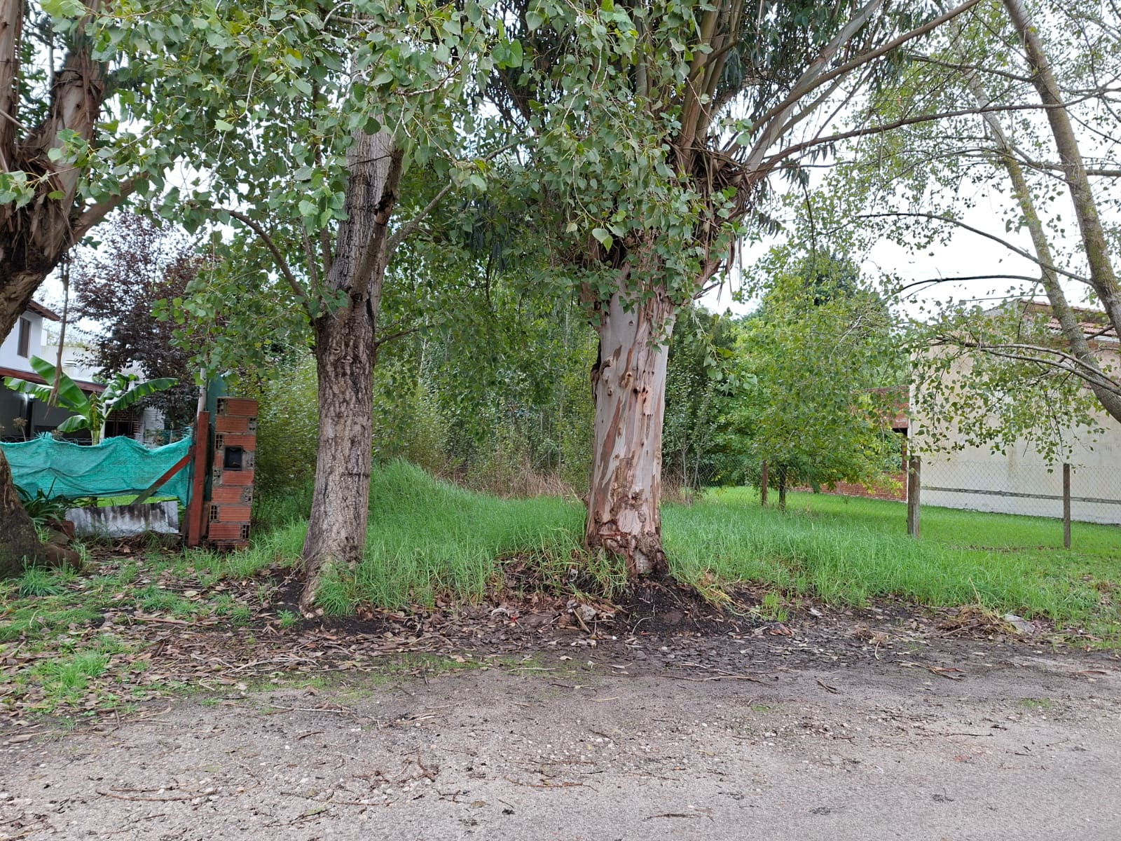 WhatsApp Image 2026-04-08 at 10.19.17