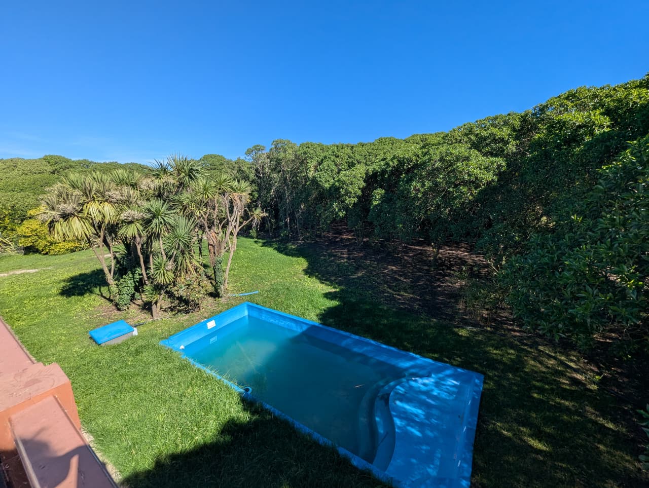 WhatsApp Image 2026-04-10 at 12.01.37