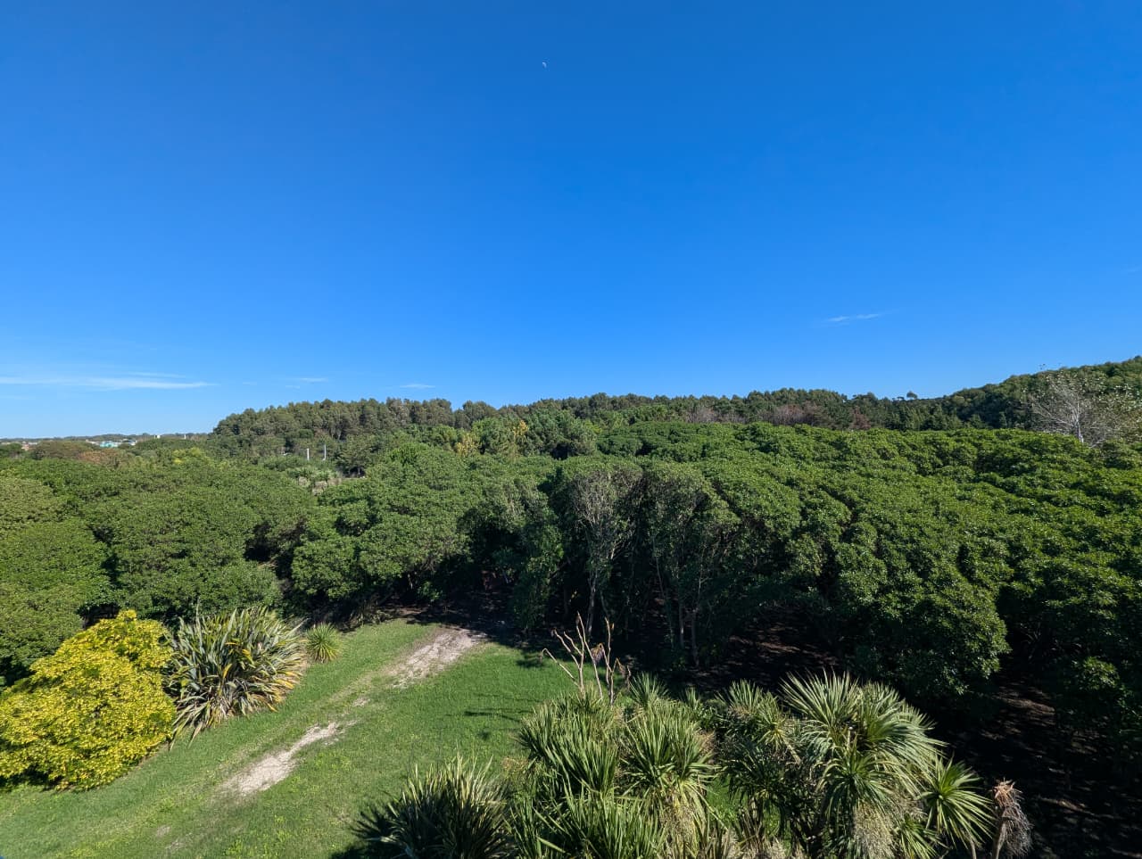 WhatsApp Image 2026-04-10 at 12.02.22